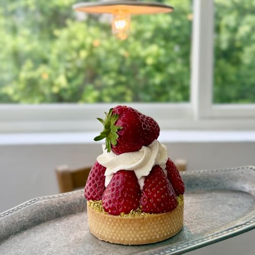 6pcs 304 Stainless Steel Round Tart Ring 3.15 inch Metal Perforated Cake Mold Pastry Molud for Circle Tartlet French Dessert Small Fruit Tarte Crust