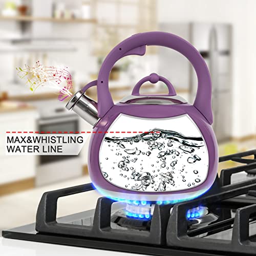 Tea Kettle for Stovetop