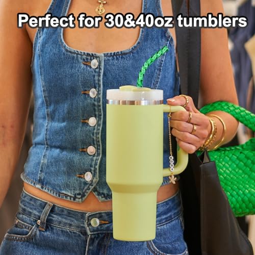 Reusable Straws for Stanley Cup Replacement