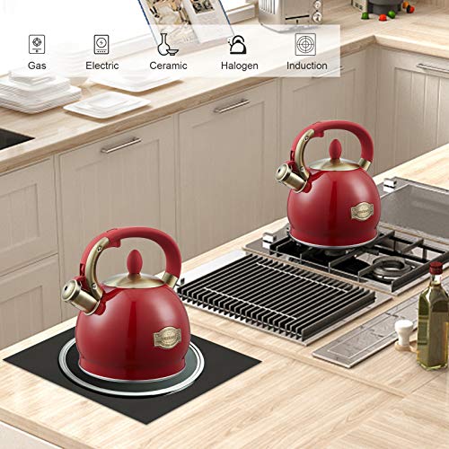 Tea Kettle 2.8 Quart Tea Kettles Stovetop Whistling Teapot Stainless Steel Tea Pots for Stove Top Whistle Tea Pot