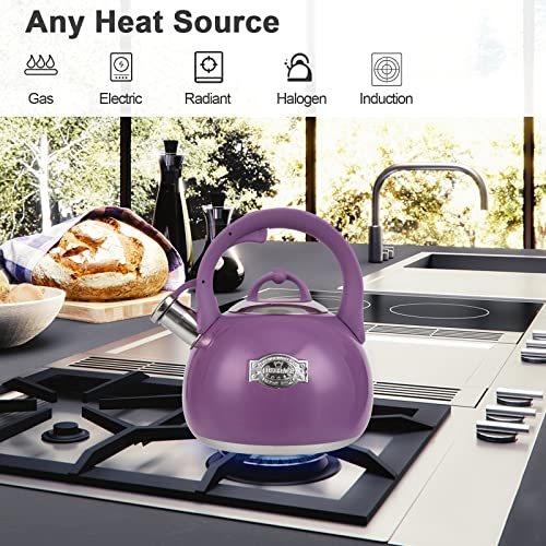 Tea Kettle for Stovetop