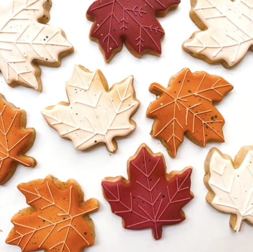 Thanksgiving Cookie Cutters Set 5Pcs Sturdy Fall Biscuit Cutters (5 Count)