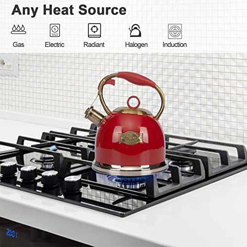 Tea Kettle Stovetop Whistling Teapot