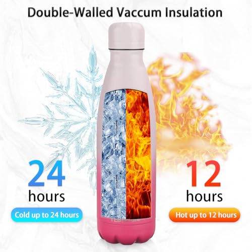Insulated Water Bottle