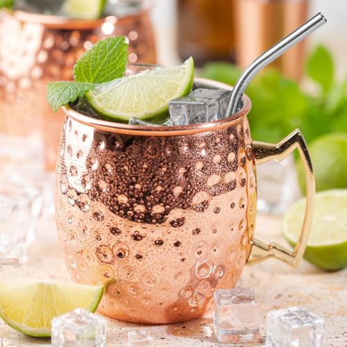 10 Pcs] 6 Inch Metal Drinking Straws