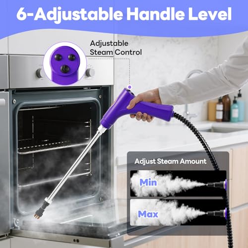 Handheld Steam Cleaner