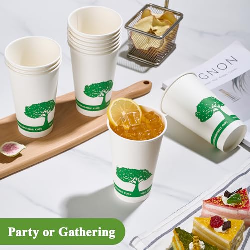 240 Pack Compostable Paper Cups (240 Count)