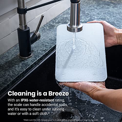 22lb Food Kitchen Scale