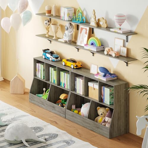 Long Wall Shelves (2 Count)