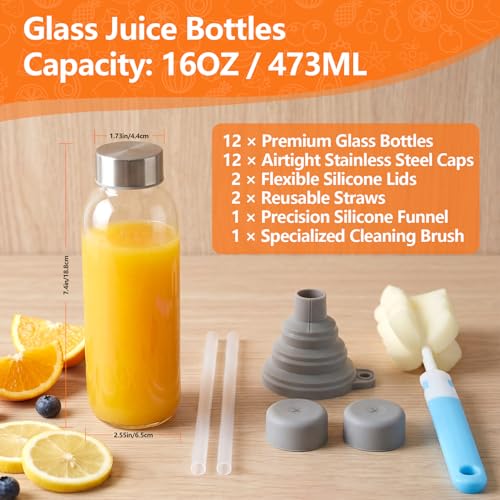 Glass Water Bottles with Lids 16 oz