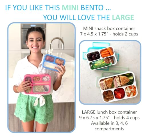 Small Snack Box Containers for Kids (2 Count)