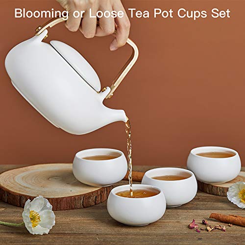 Japanese Tea Set with 4 Cups