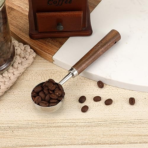 Vintage Coffee Measuring Spoon