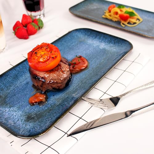 Porcelain Dinner Plates Blue 2 PCS (2 Count)