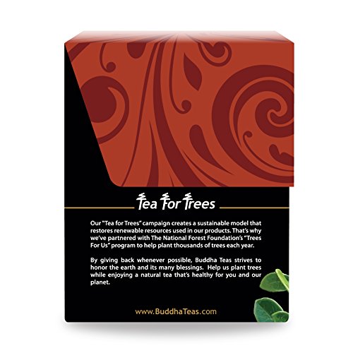 Organic Uva Ursi Tea (18 Count)