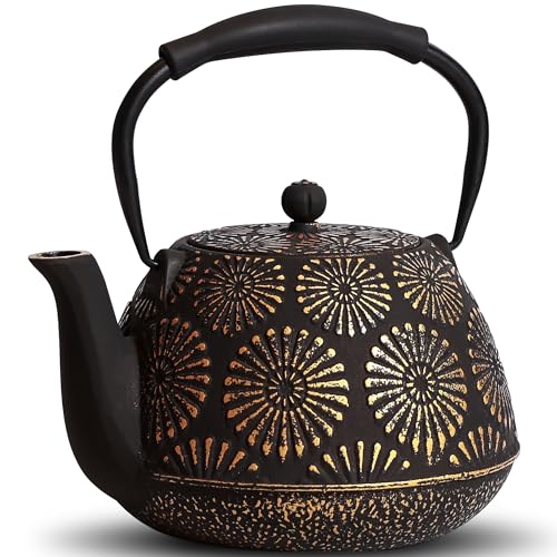 Cast Iron Teapot
