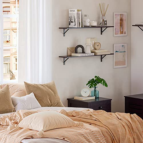 Long Wall Shelves (2 Count)
