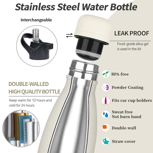 Insulated Water Bottle (2 Count)