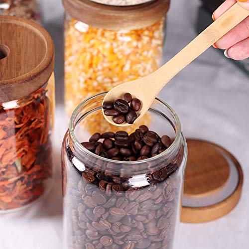 Stackable Kitchen Canisters Set of 8