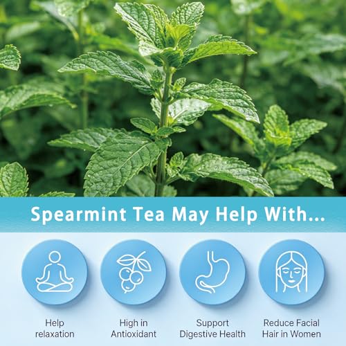 Spearmint Tea Bags (40 Count)