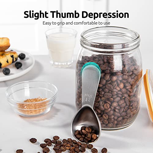 18 8 Stainless Steel Coffee Scoop (2 Count)