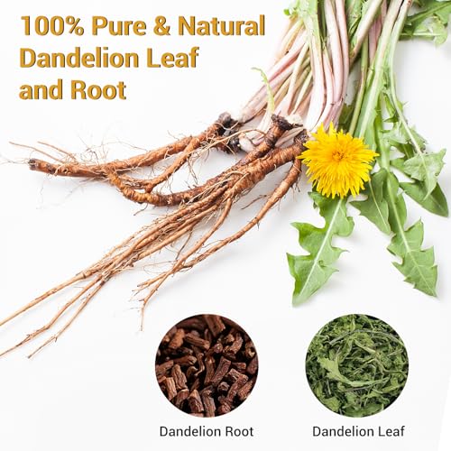 Dandelion Root and Leaf Tea (100 Count)