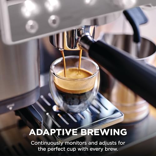 Luxe Café Premier Espresso & Rapid Cold Brew