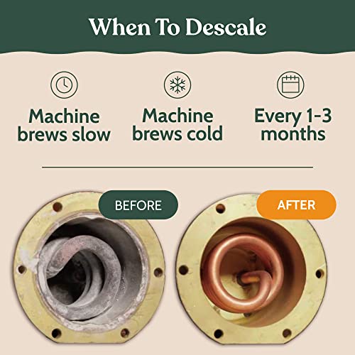 Keurig Compatible Descaling Solution (16.9 Fl Oz)