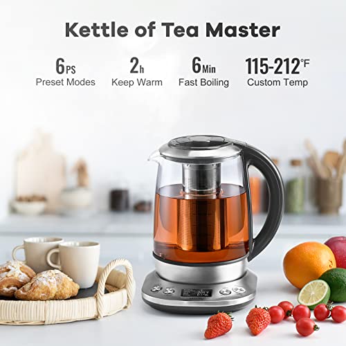Electric Tea Kettle Borosilicate Glass Tea Maker With Temperature Control and Infuser