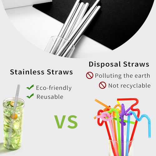 5 Pcs Stainless Steel Smoothie Straws (5 Count)