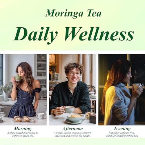 Moringa Tea Bags 100ct (100 Count)
