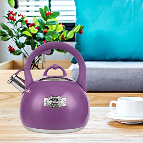 Tea Kettle for Stovetop