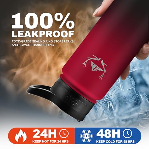 24 oz Insulated Water Bottle with Carrier Bag & 3 Lids