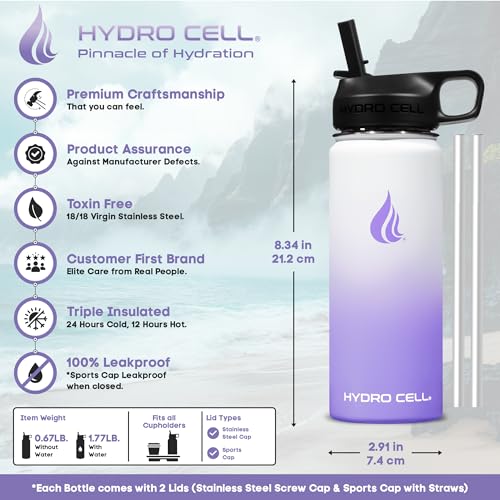 Stainless Steel Insulated Water Bottle with Straw