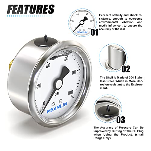 0~100Psi Stainless Steel 1