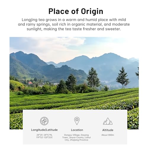 LongJing Chinese Loose Leaf Green Tea (3.5 Ounce)