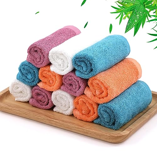 Dish Washcloths 12 Pack (12 Count)