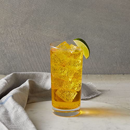 Classic Passion Fruit Syrup (101.6 Fl Oz)
