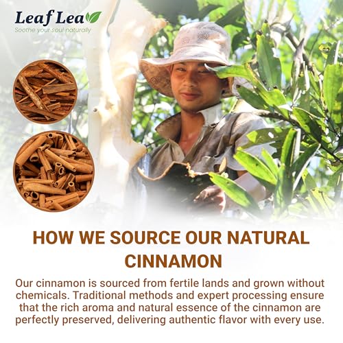 Cinnamon Tea Bags (80 Count)