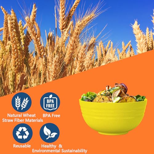 Set of 6] 68 Oz Salad Bowls Large Serving Bowls Unbreakable Ramen Bowl for Salad (6 Count)