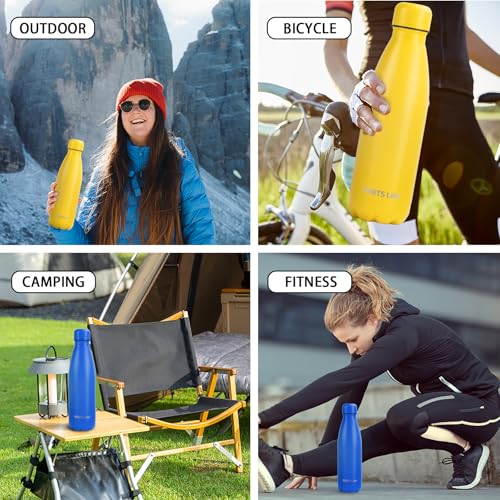 Insulated Water Bottle
