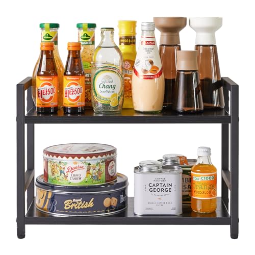 2 Tier Spice Rack