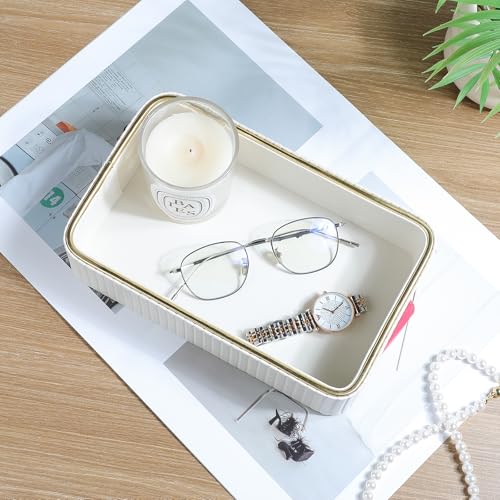 Desk Organizer Tray