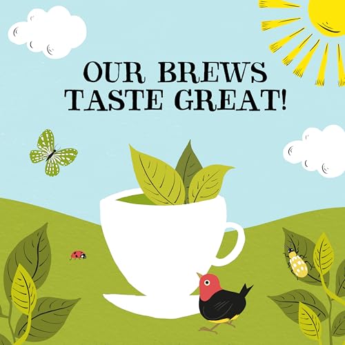 Clipper Organic Everyday Black Tea (320 Count)