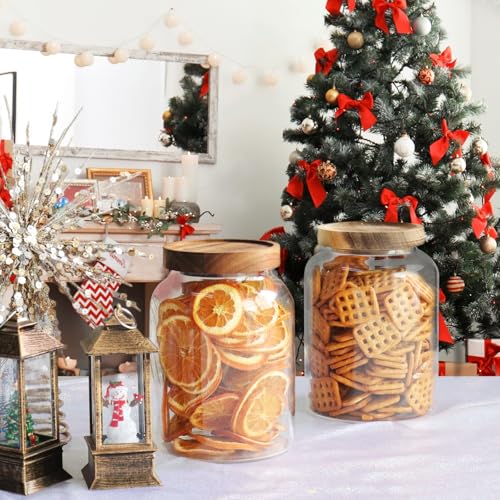Glass Coffee Canister Glass Food Storage Jars With Airtight Lids Borosilicate Glass Coffee Canister Container for Coffee Beans & Grounds Tea Sugar Spices Kitchen