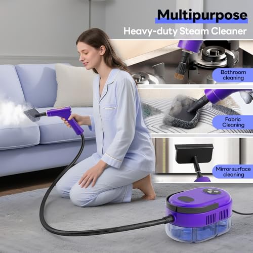 Handheld Steam Cleaner