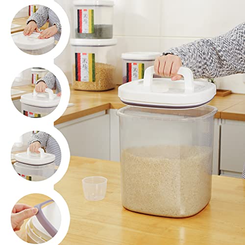 10 Lbs Rice Container Storage with Measuring Cup