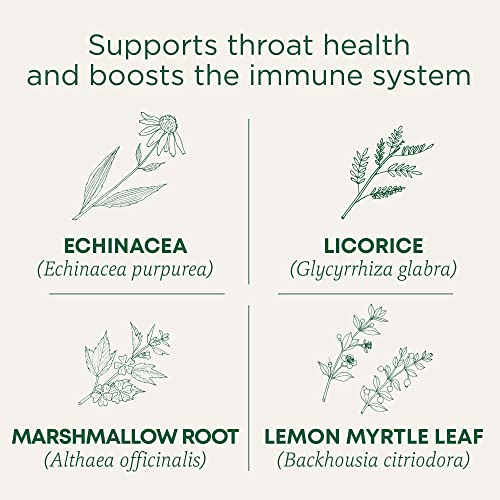 Organic Throat Coat Lemon Echinacea (32 Count)