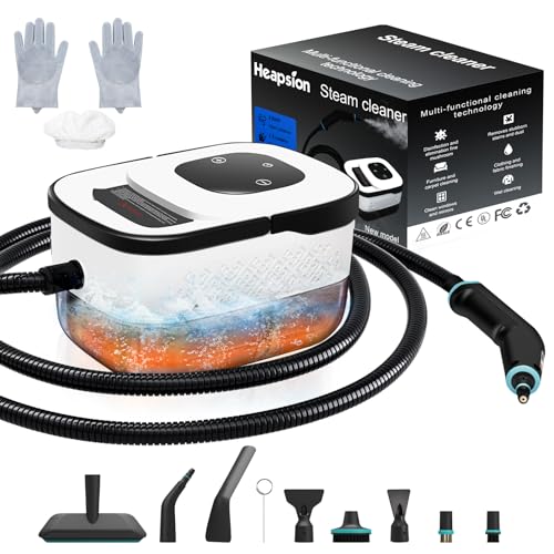 Steam Cleaner