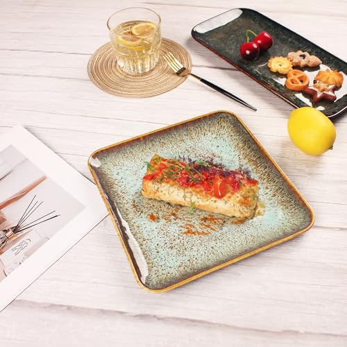 Ceramic Dinner Plates Dish Set (4 Count)